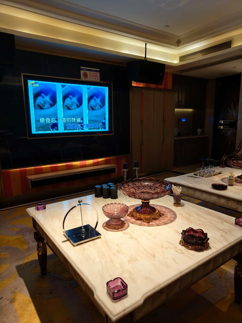 商务ktv玩乐指南-麒麟区ktv预定